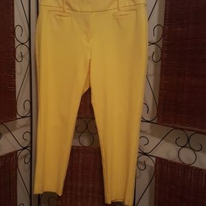 Loft ankle pants
